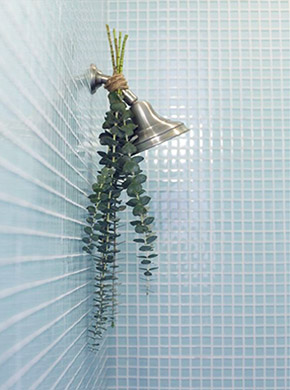 eucalipto en la ducha 2